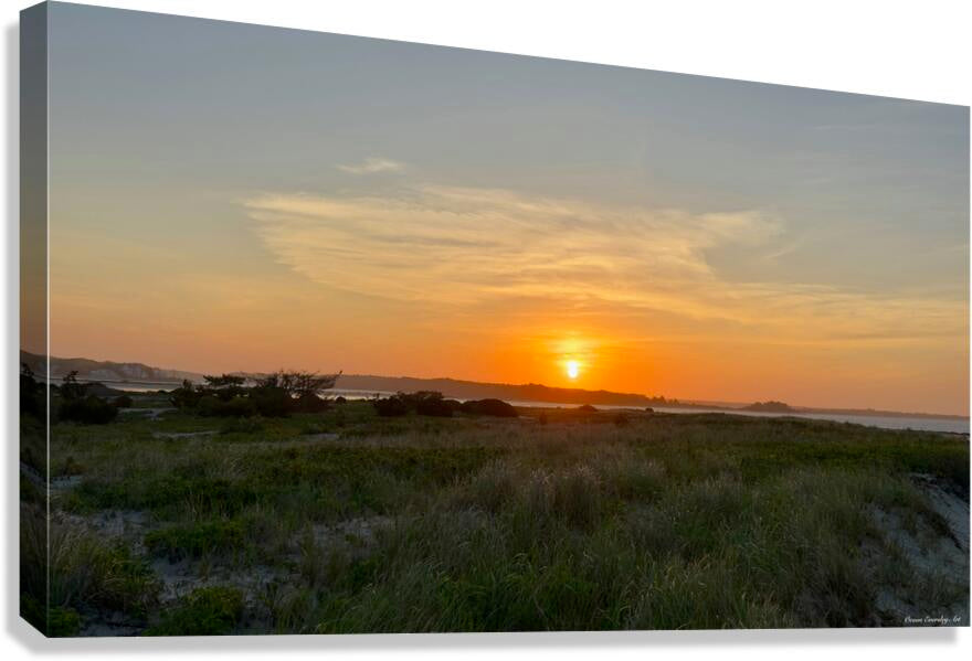 2683847 :: Giclée Stretched Canvas Print