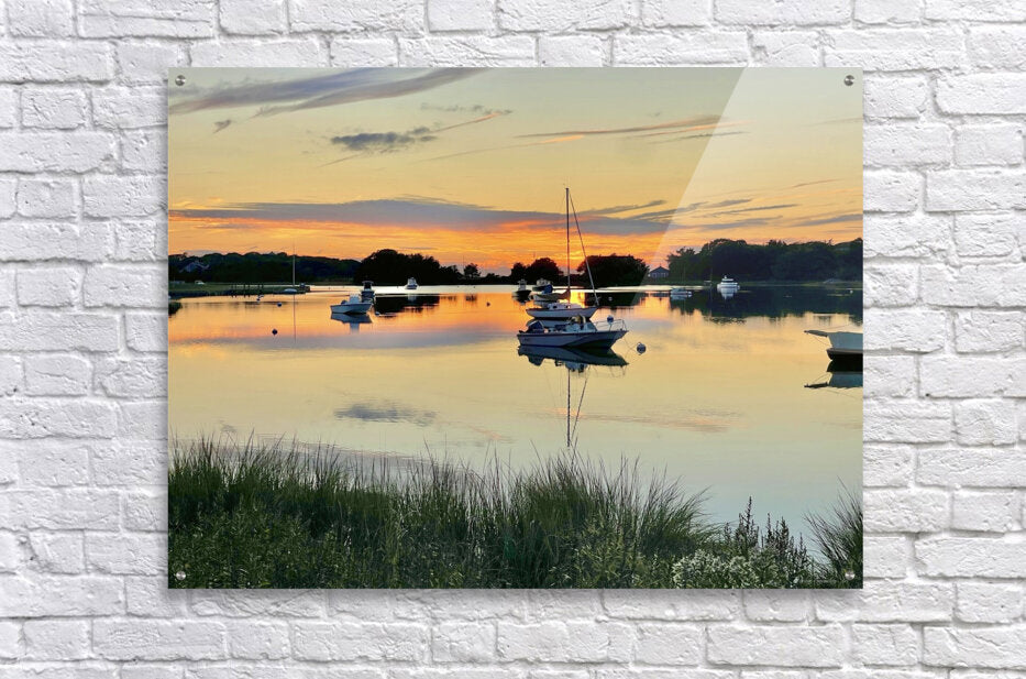 2237257 :: Acrylic Print