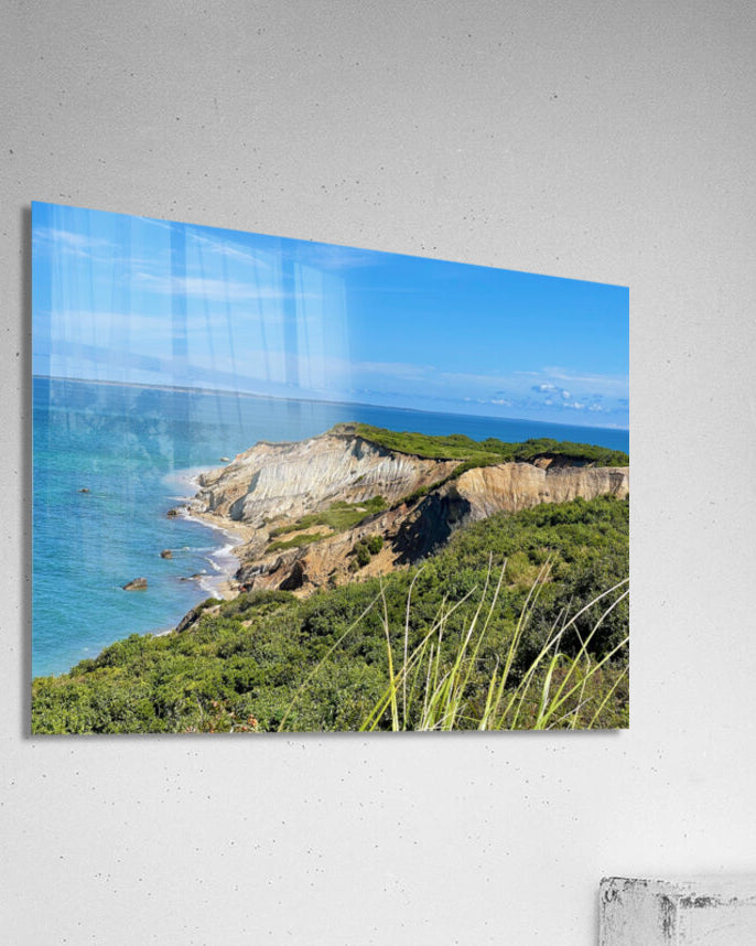 Acrylic Print