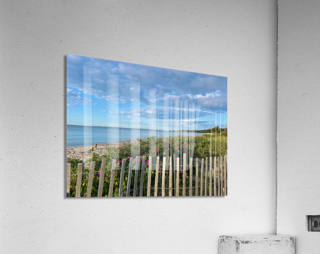 Acrylic Print