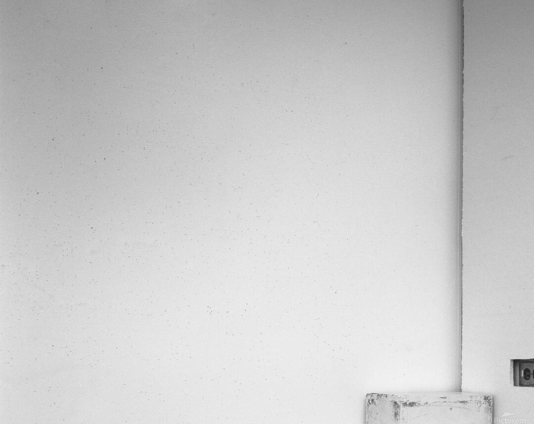 2376213 :: Acrylic Print