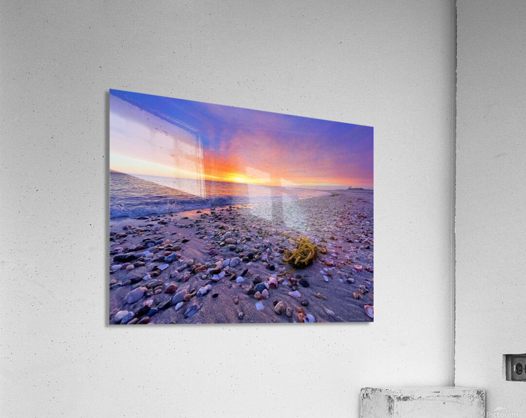 2380404 :: Acrylic Print