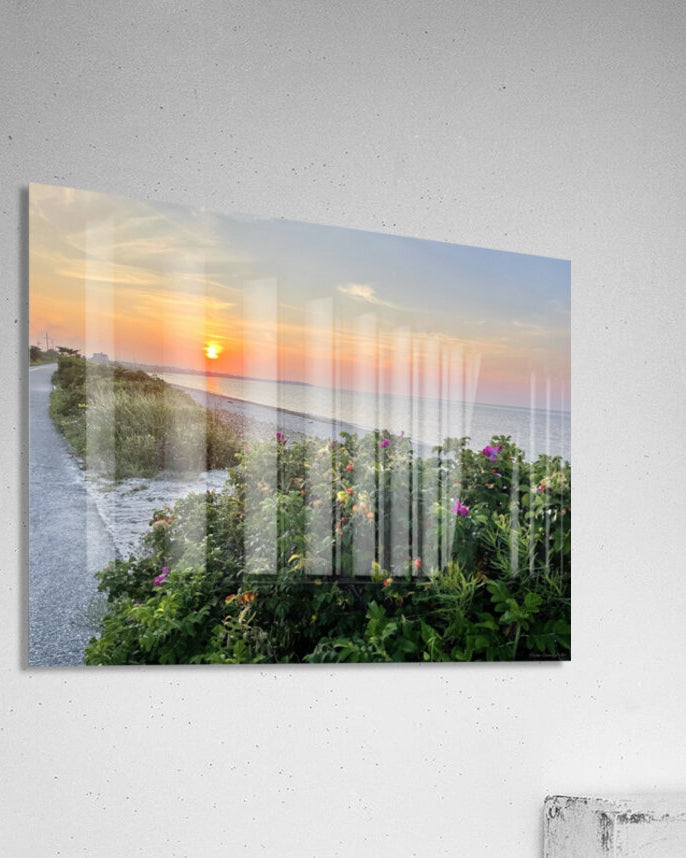 2380424 :: Acrylic Print