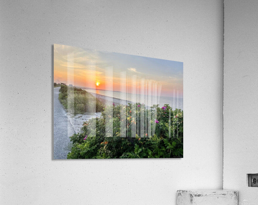 2380424 :: Acrylic Print