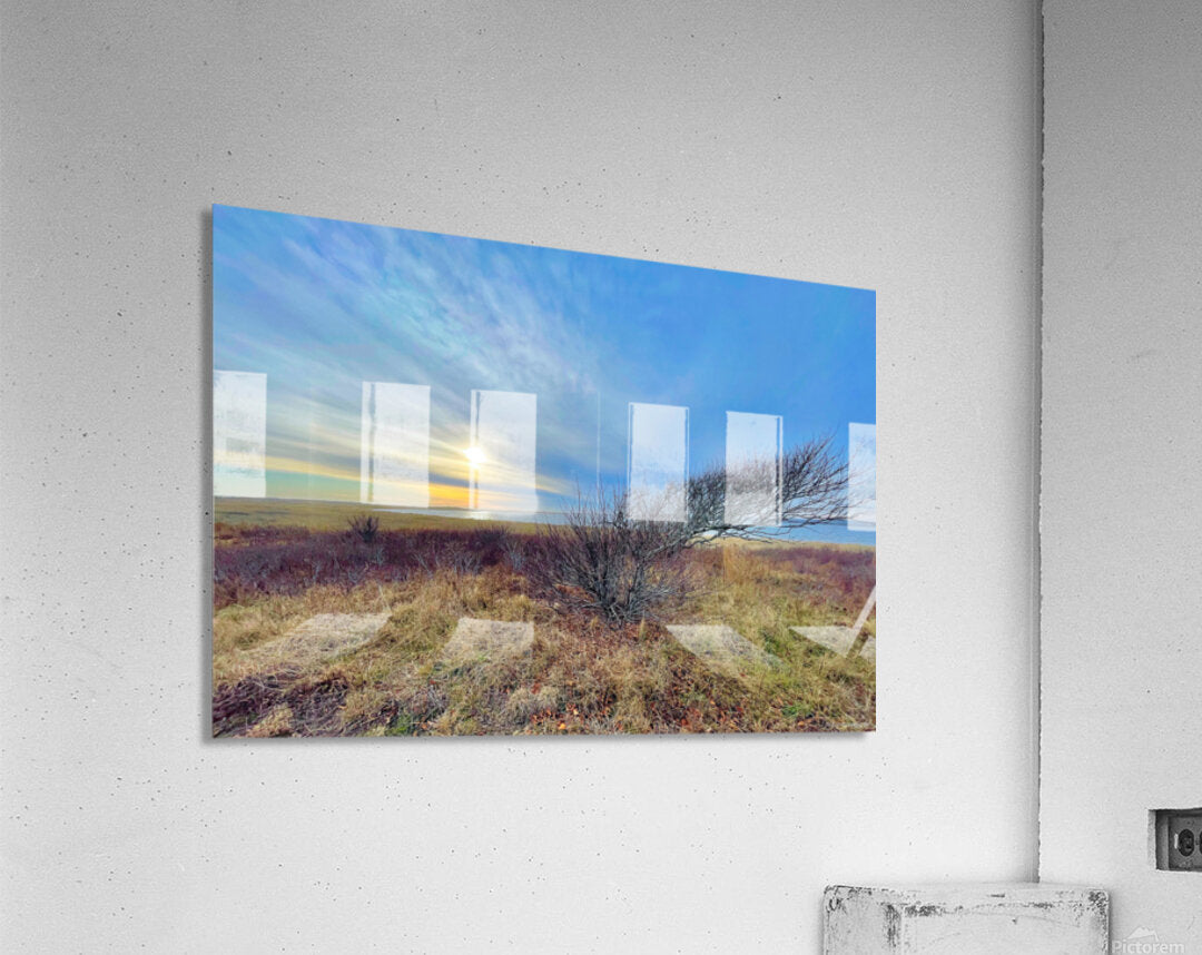 2385246 :: Acrylic Print