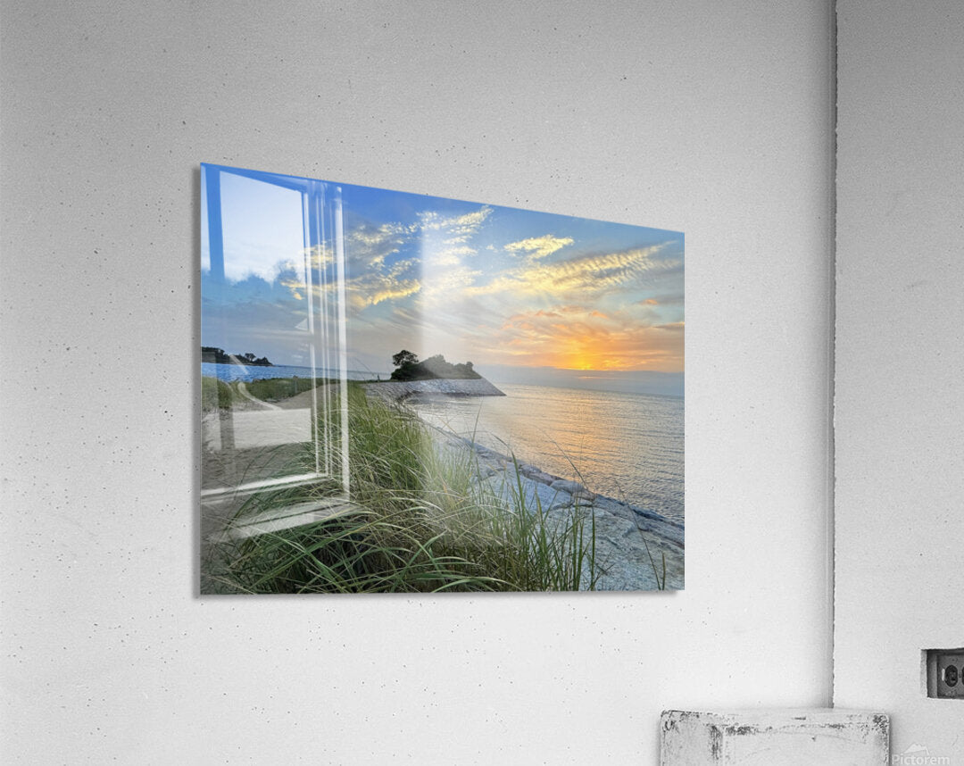 2442746 :: Acrylic Print