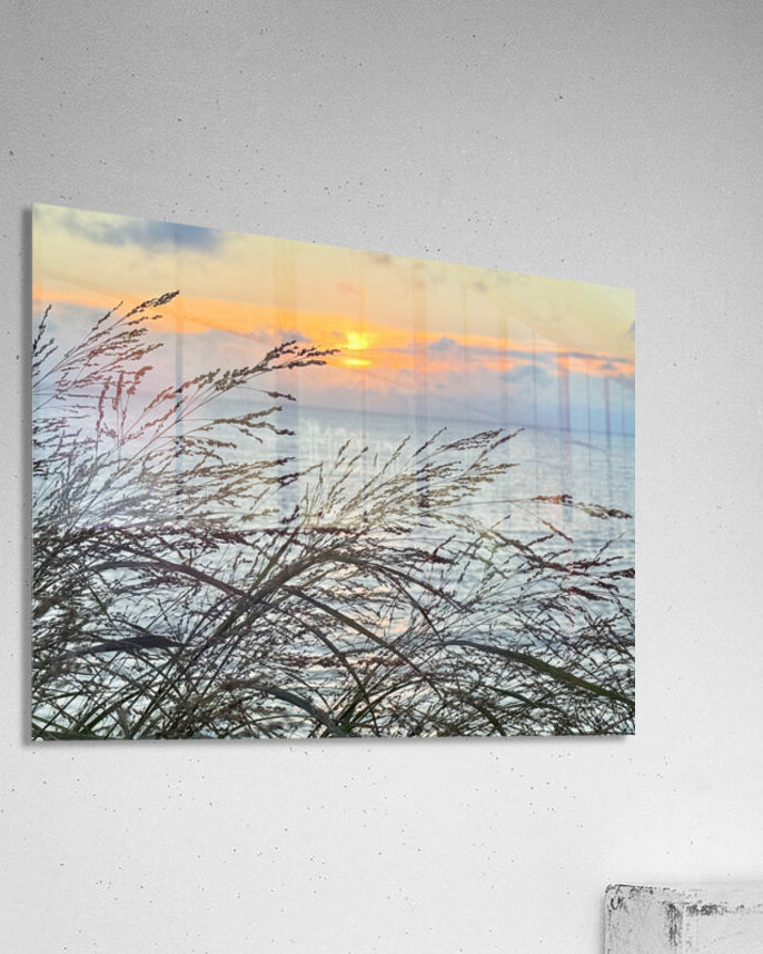 2454512 :: Acrylic Print