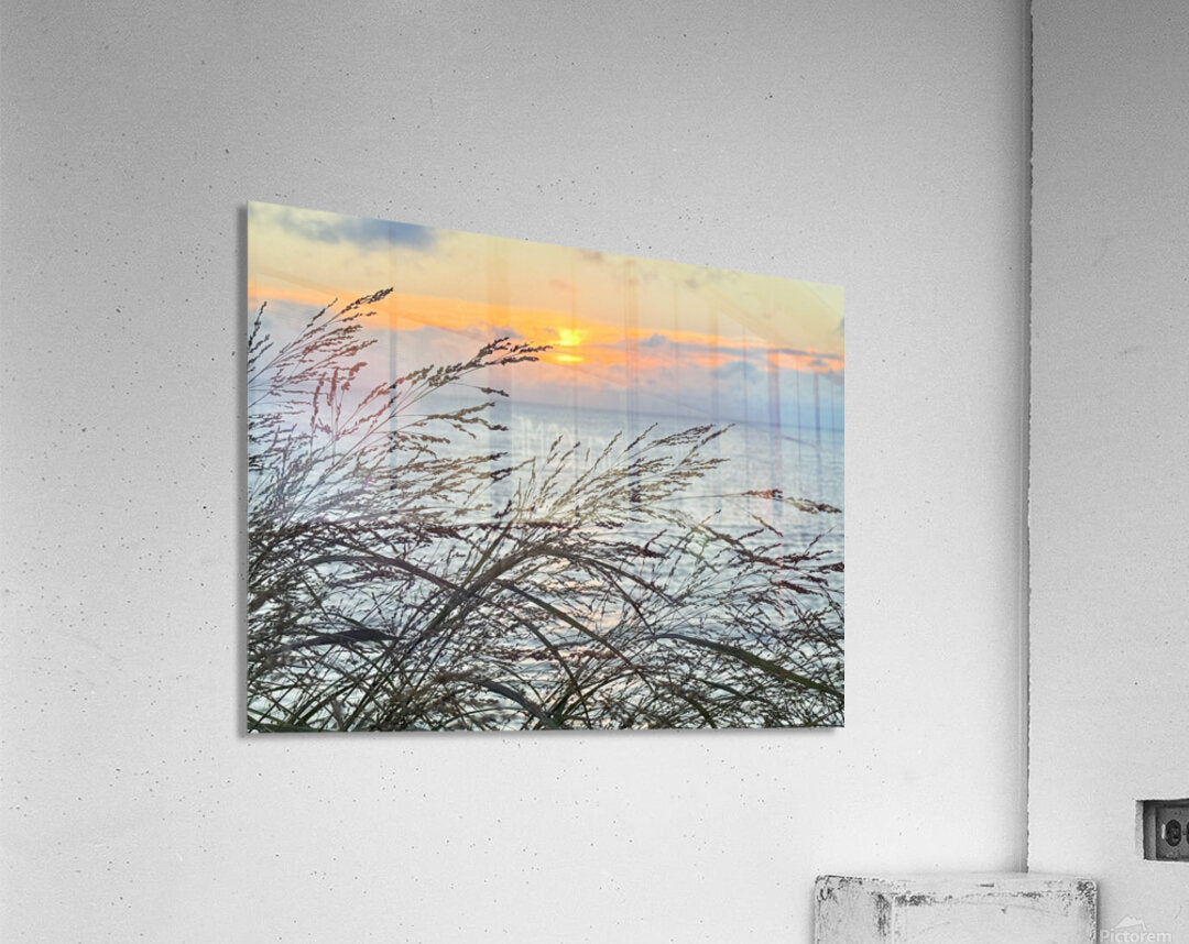 2454512 :: Acrylic Print