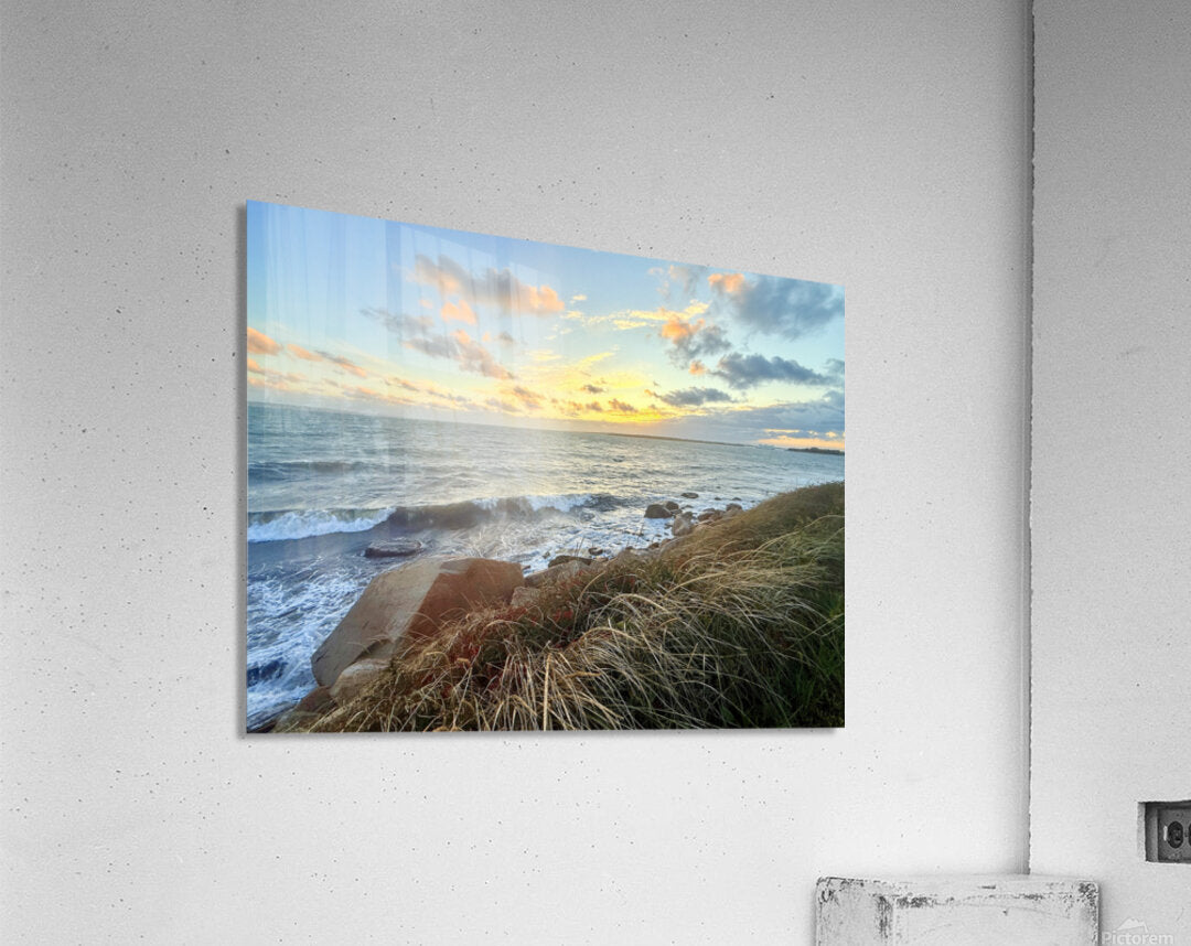 2475323 :: Acrylic Print