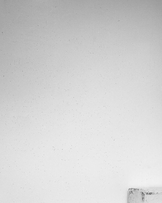 2477186 :: Acrylic Print