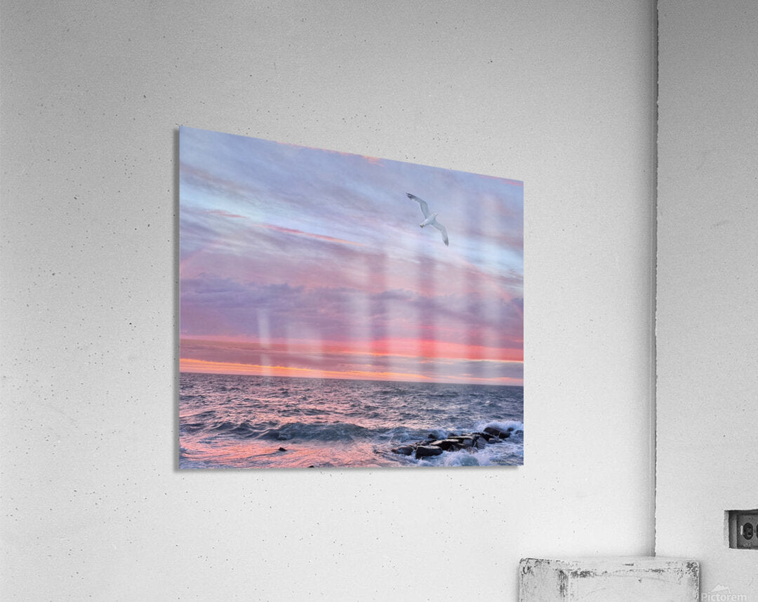 2479252 :: Acrylic Print