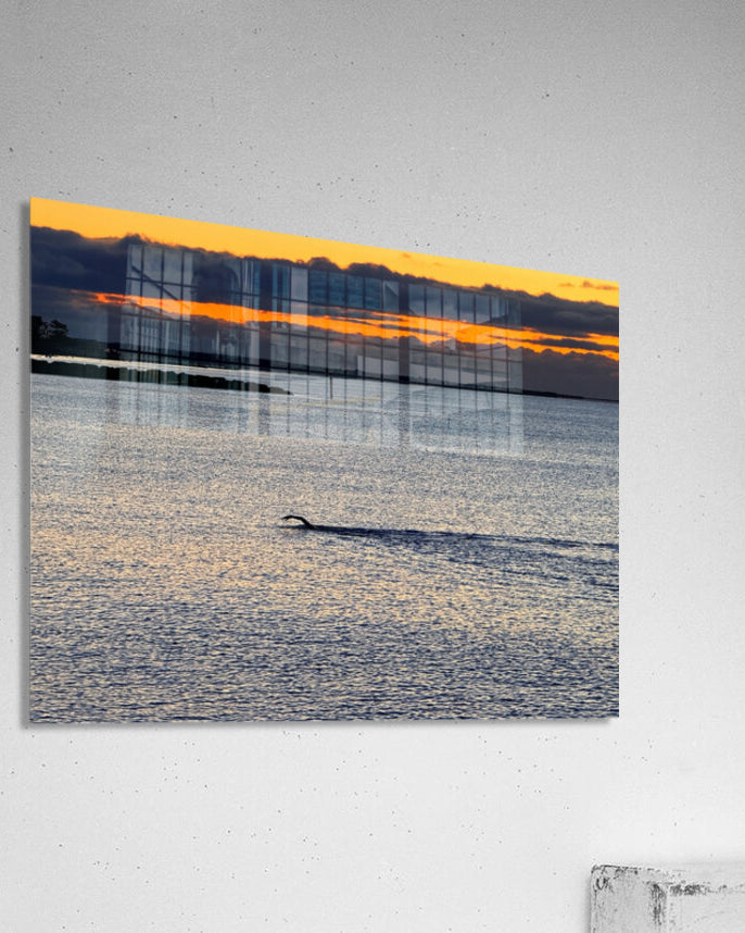 2479257 :: Acrylic Print