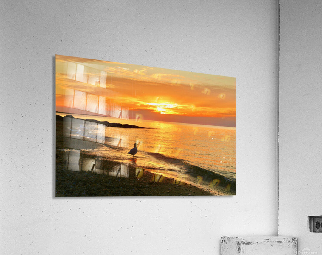 2483297 :: Acrylic Print