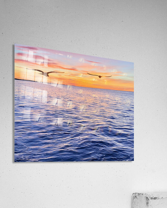 2487268 :: Acrylic Print