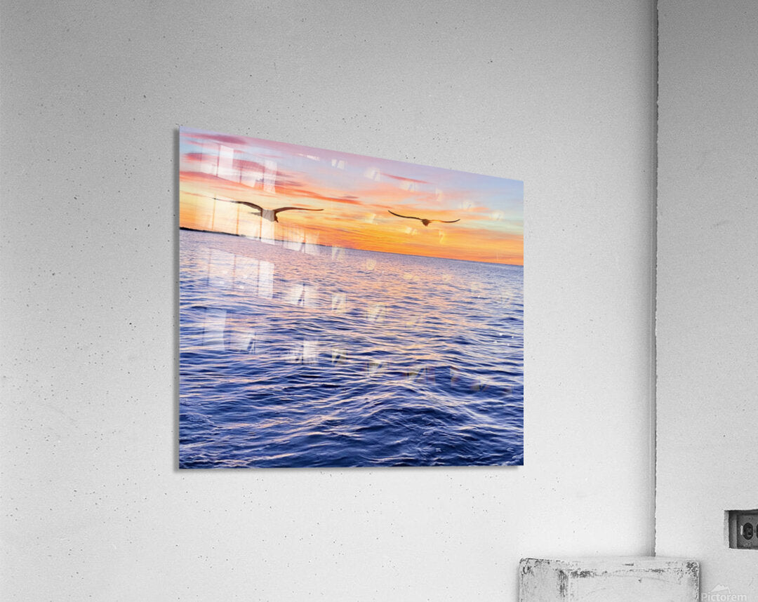 2487268 :: Acrylic Print