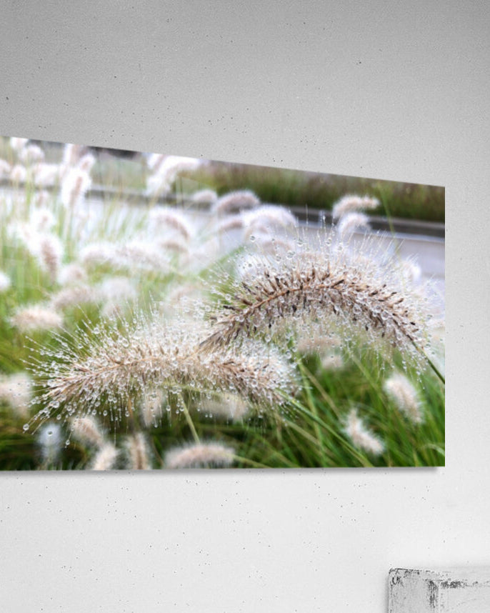 2495642 :: Acrylic Print