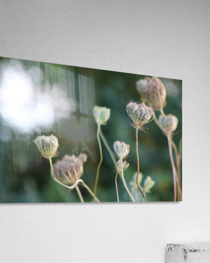 2495654 :: Acrylic Print