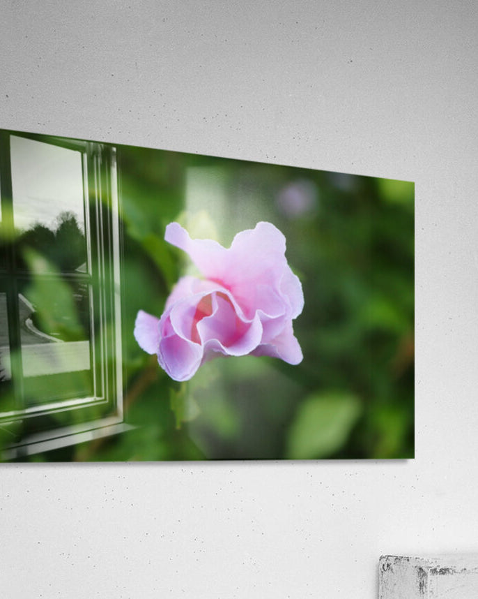 2495683 :: Acrylic Print