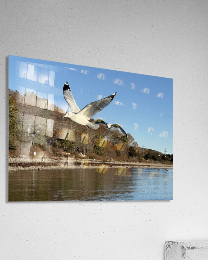 2498092 :: Acrylic Print