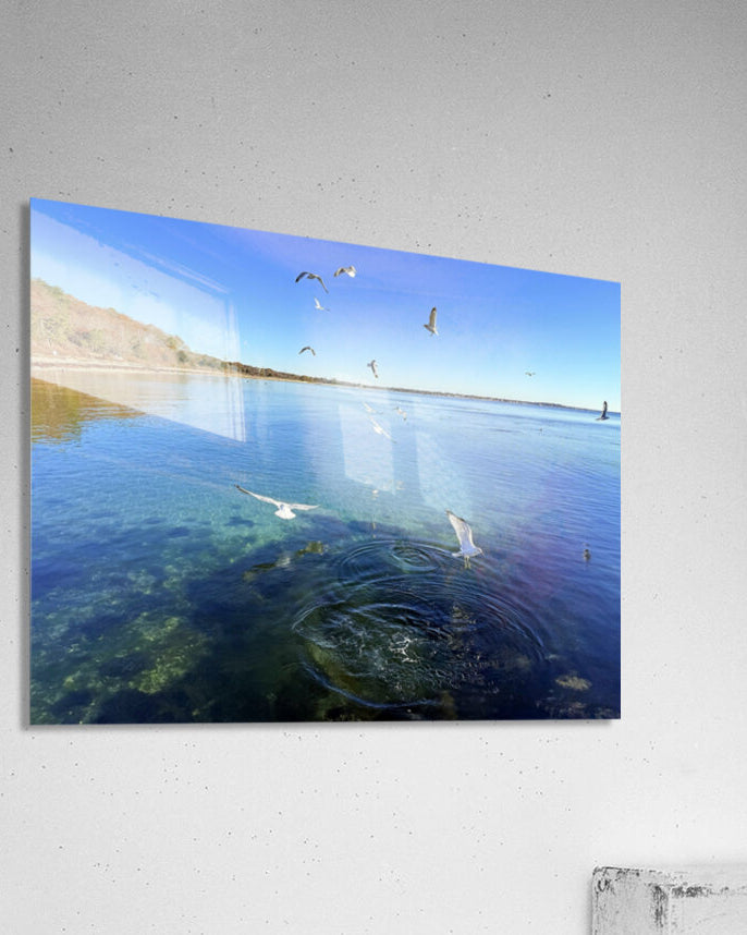 2498578 :: Acrylic Print