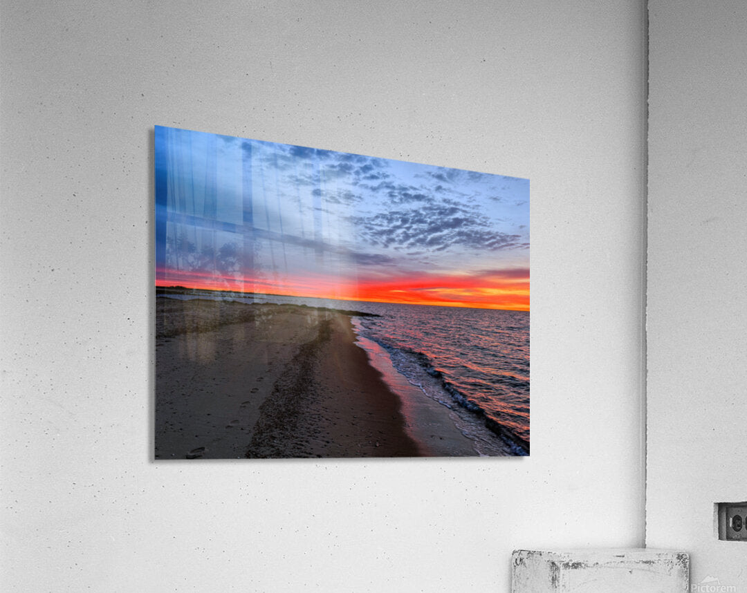 2500268 :: Acrylic Print