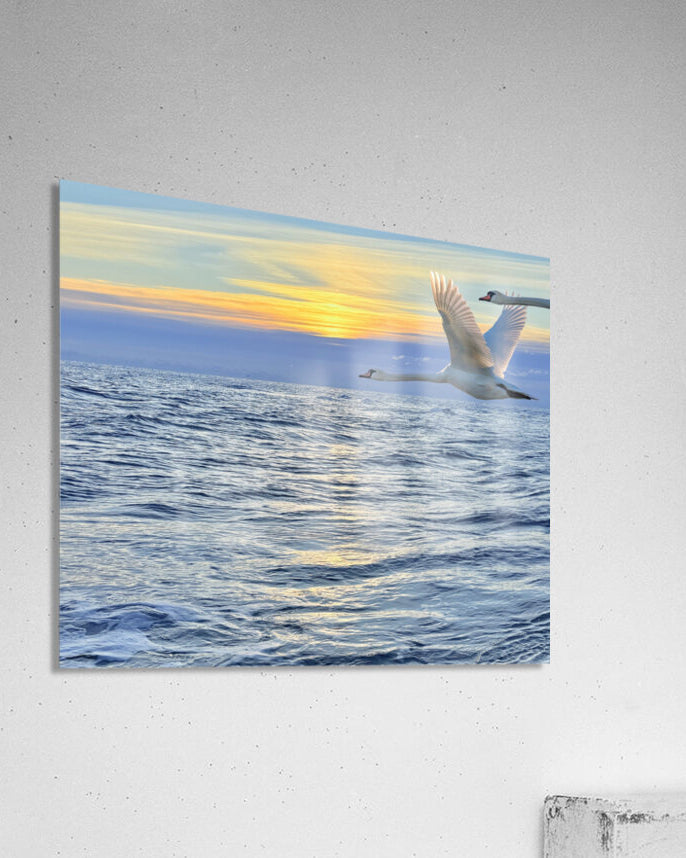 2503734 :: Acrylic Print