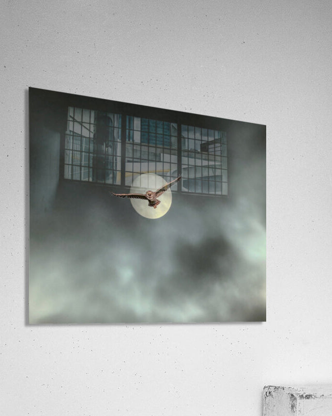 2508362 :: Acrylic Print