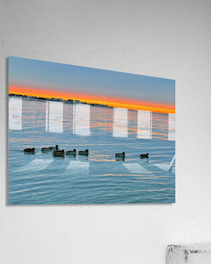 2511936 :: Acrylic Print