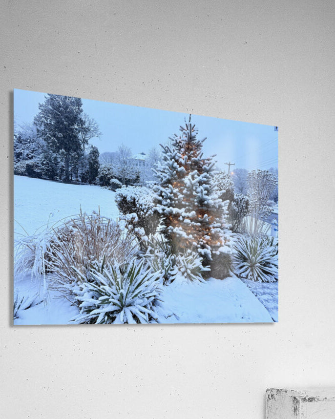 2511983 :: Acrylic Print