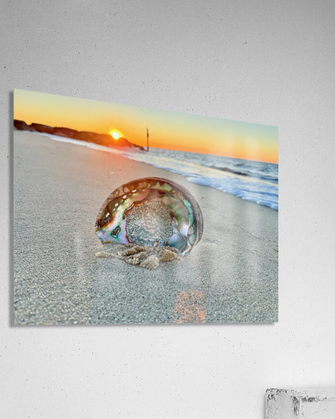 2516197 :: Acrylic Print