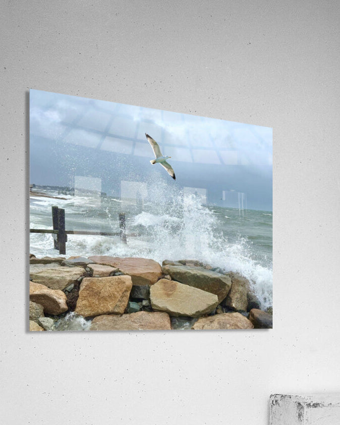 2516245 :: Acrylic Print