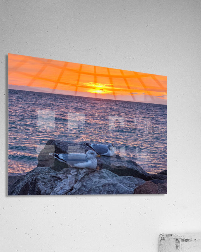 2519744 :: Acrylic Print