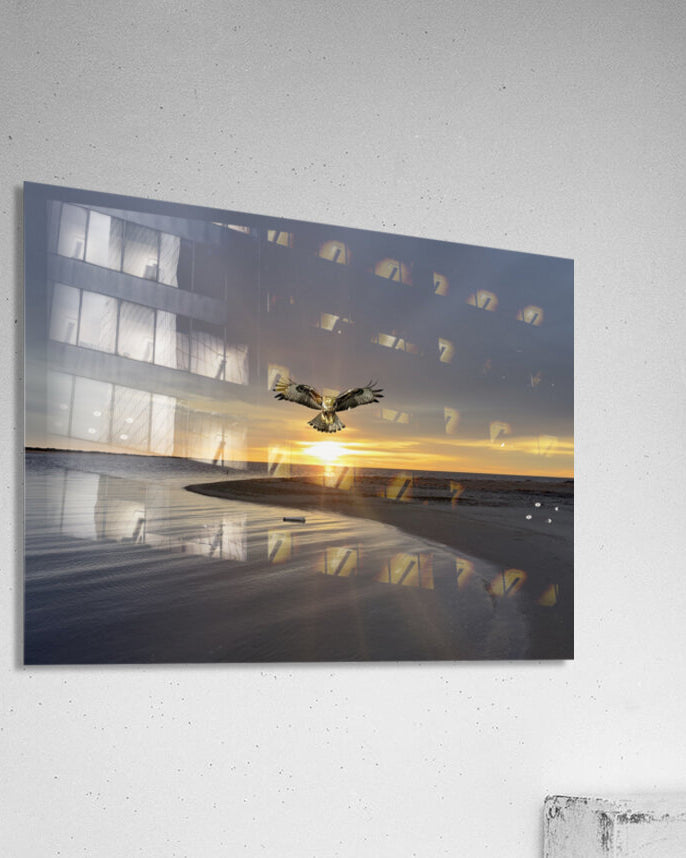 2521716 :: Acrylic Print