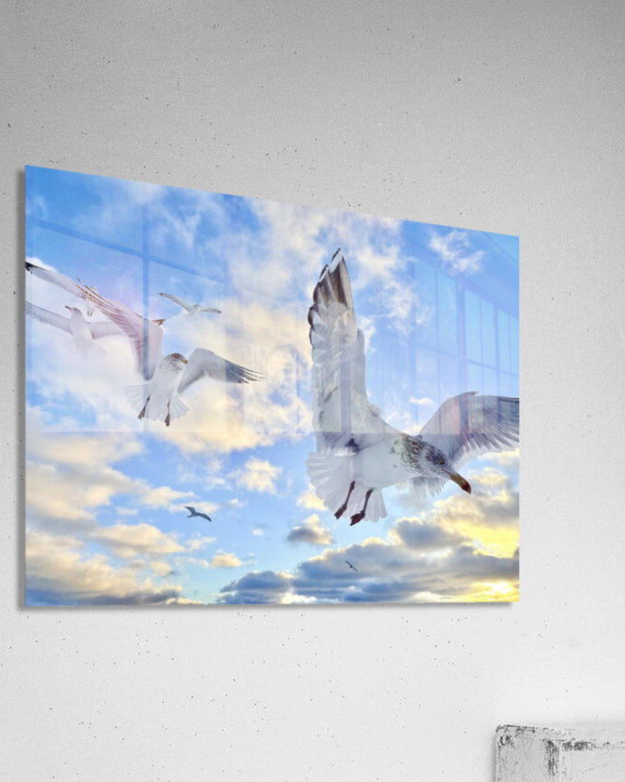 2521717 :: Acrylic Print