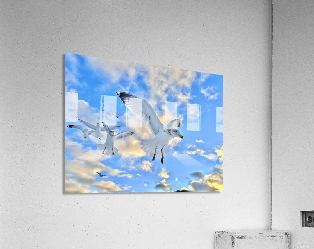 2522014 :: Acrylic Print