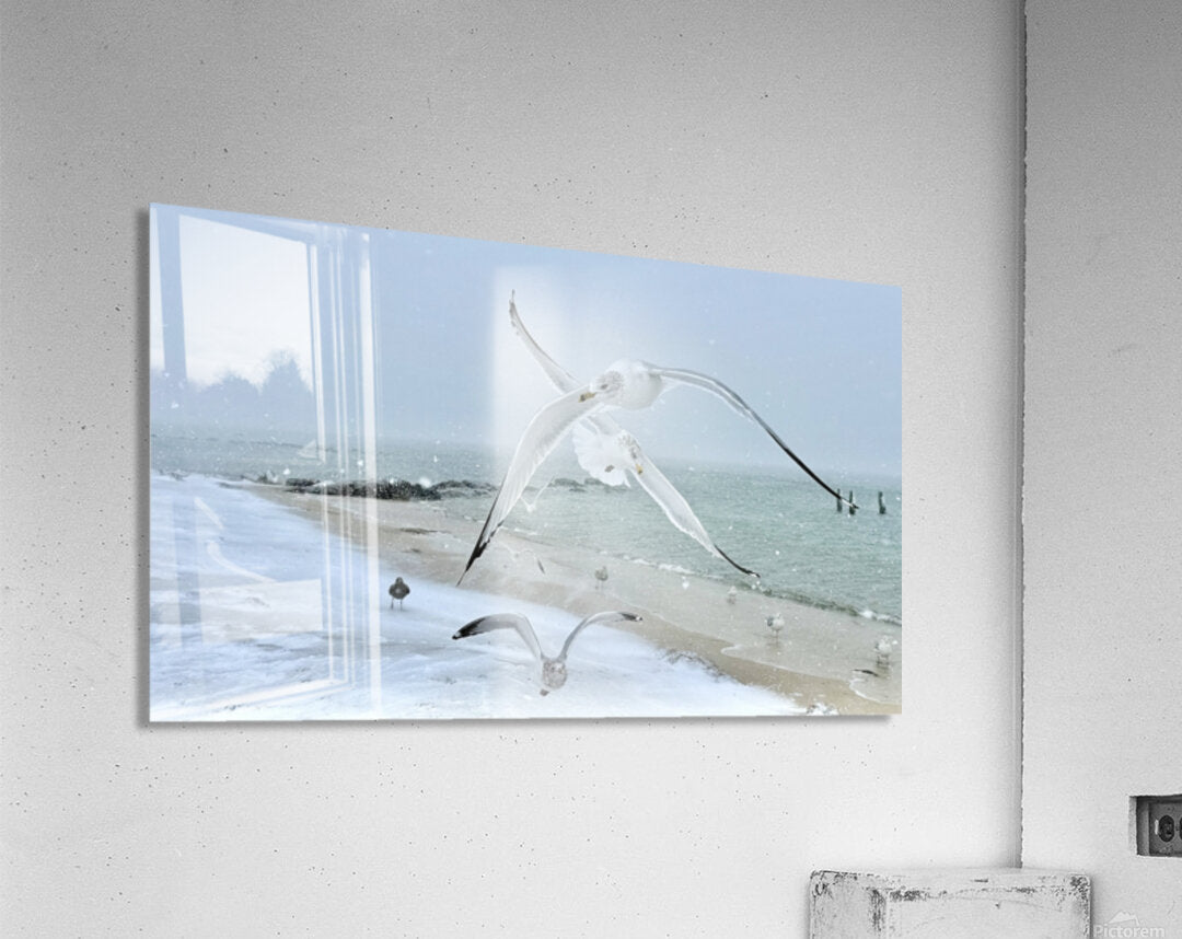 2525288 :: Acrylic Print