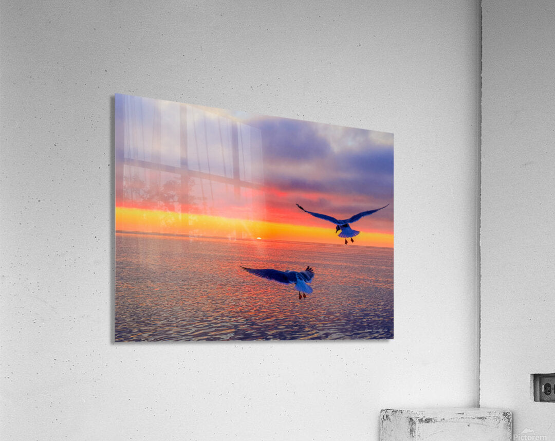 2536746 :: Acrylic Print