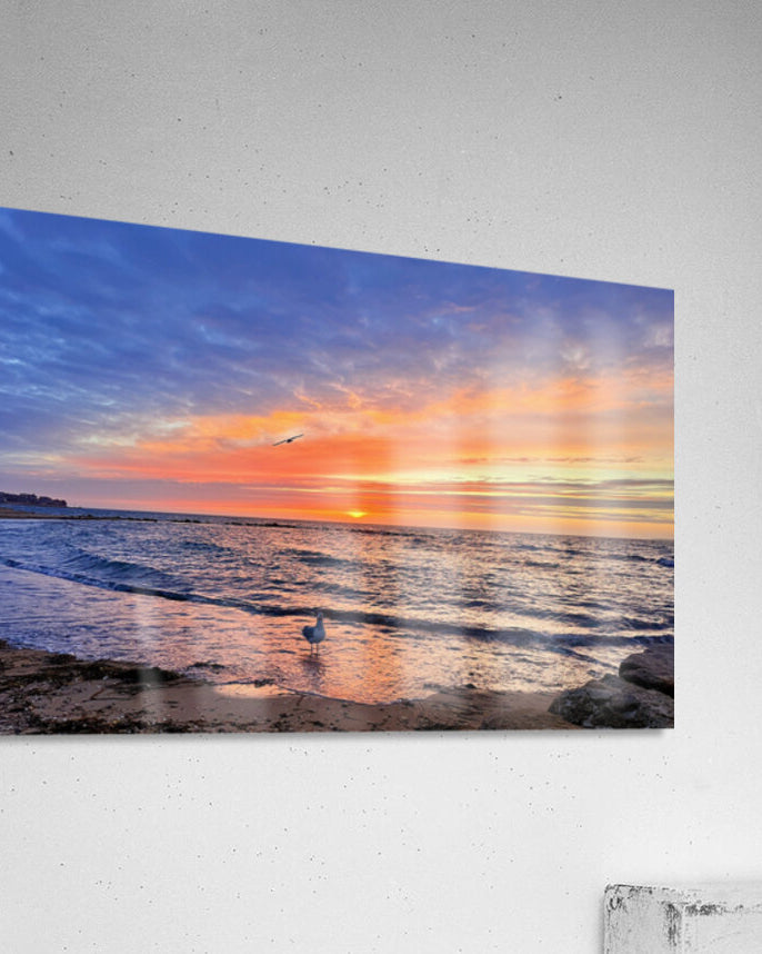 2540943 :: Acrylic Print