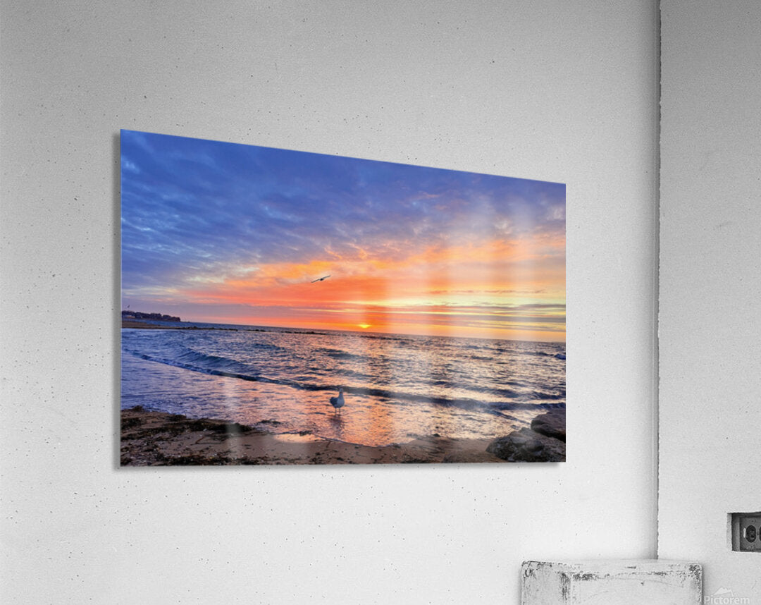 2540943 :: Acrylic Print