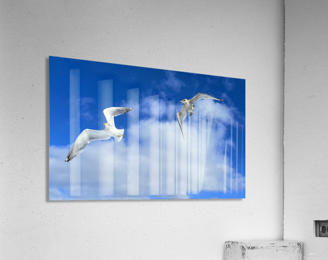 2552328 :: Acrylic Print