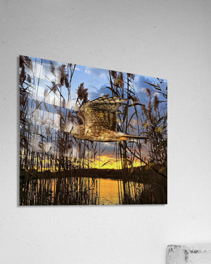 2555294 :: Acrylic Print