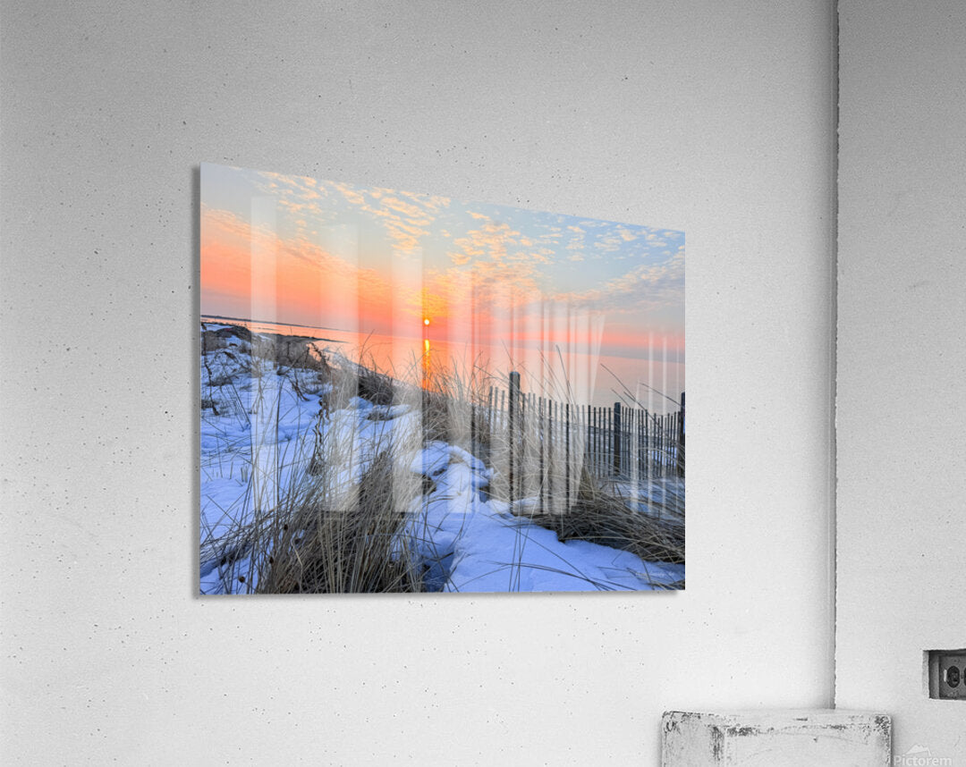 2577035 :: Acrylic Print
