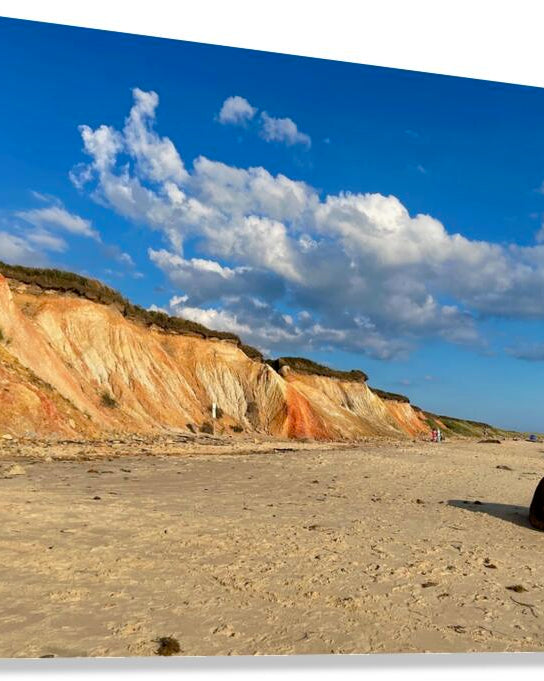 Giclée Stretched Canvas Print