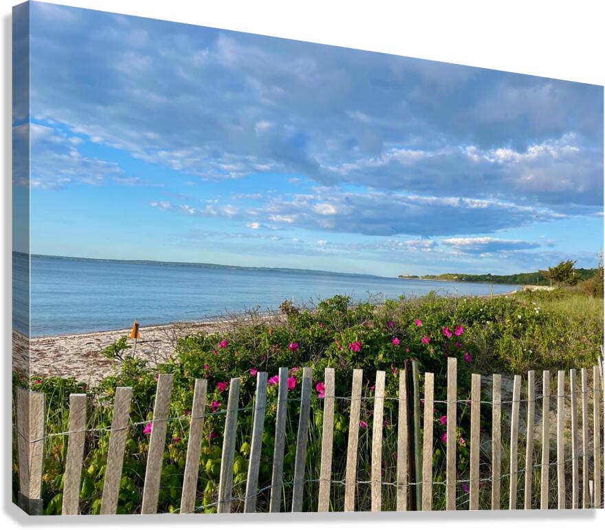 Giclée Stretched Canvas Print