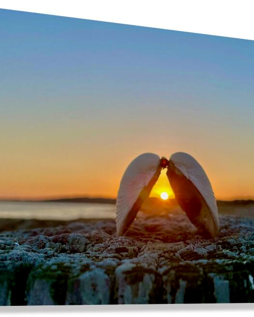 Giclée Stretched Canvas Print