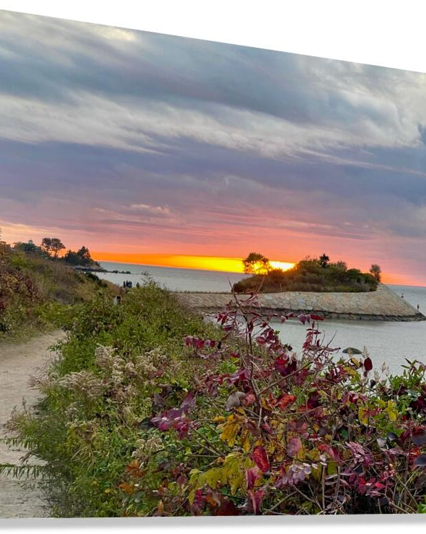 Giclée Stretched Canvas Print