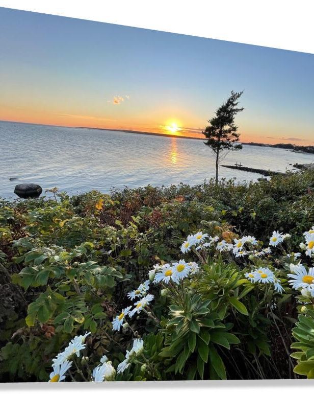 Giclée Stretched Canvas Print