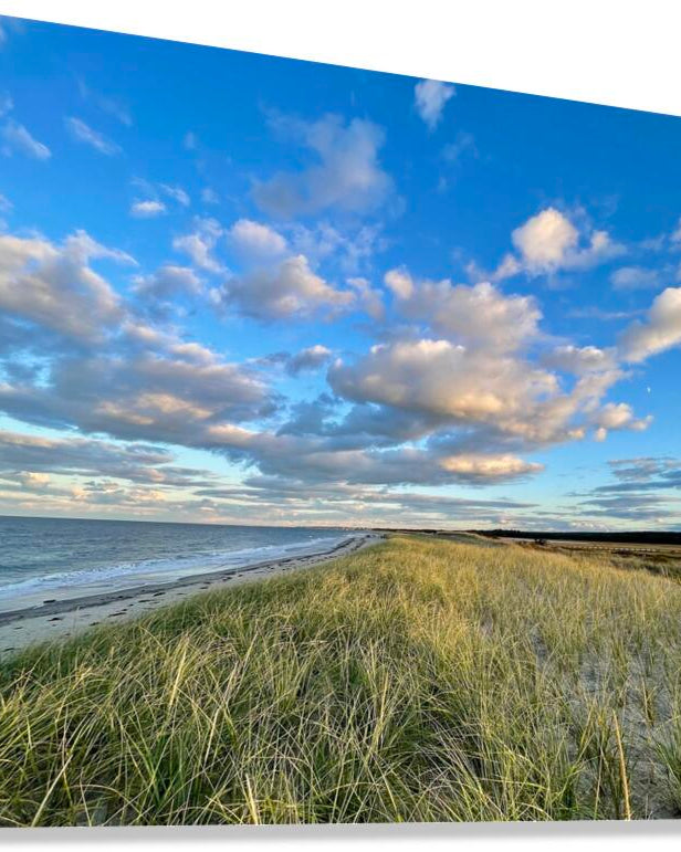 2375002 :: Giclée Stretched Canvas Print