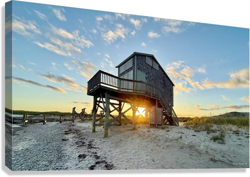 2375376 :: Giclée Stretched Canvas Print