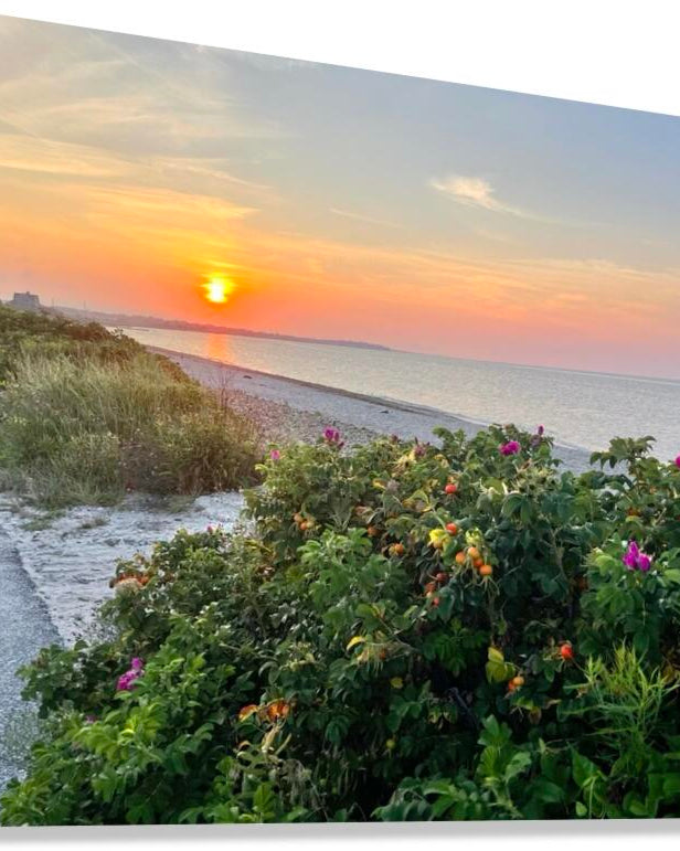 2380424 :: Giclée Stretched Canvas Print